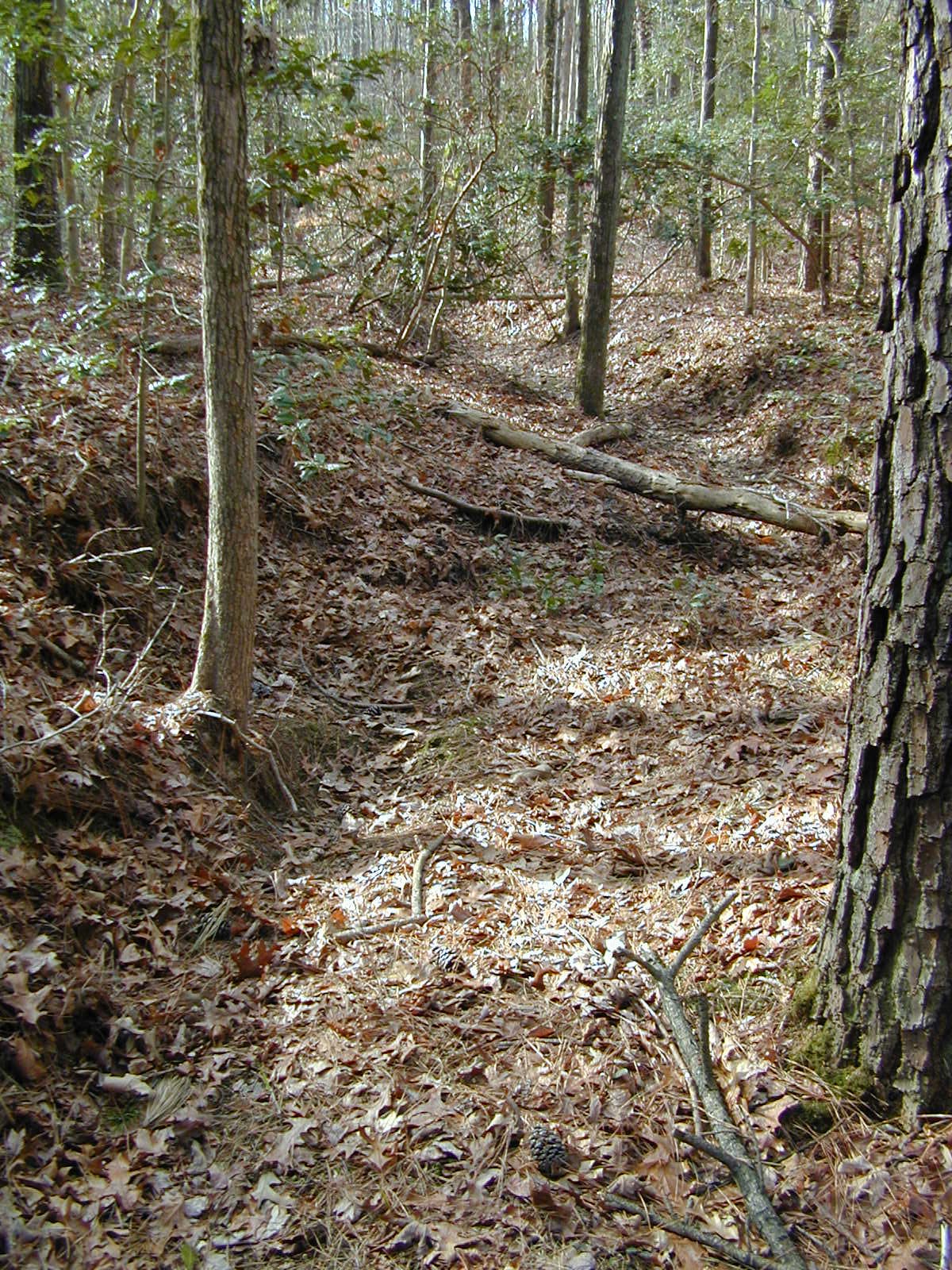 Field photo showing stream conditions at site PRLT-103-R-2002-375
