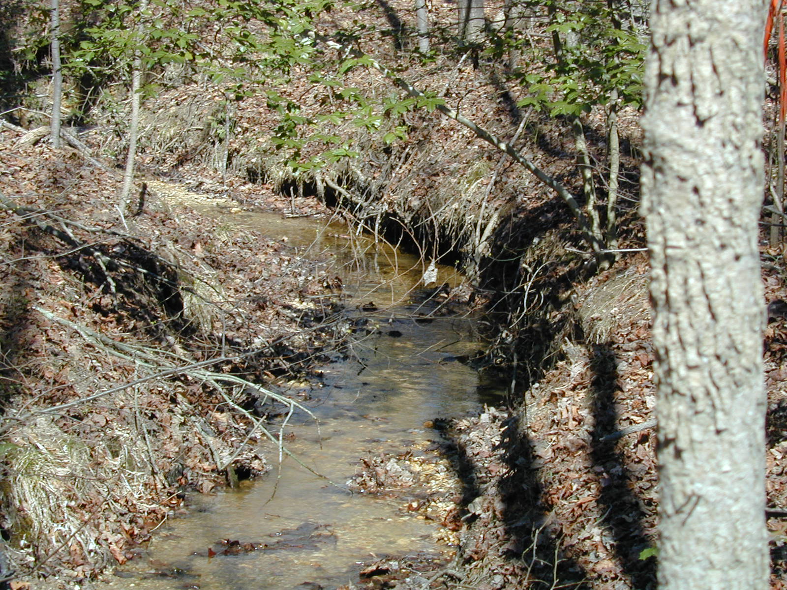 Field photo showing stream conditions at site PRLT-104-R-2002-379