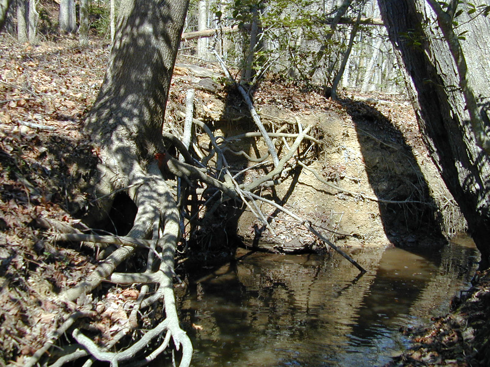 Field photo showing stream conditions at site PRLT-104-R-2002-380