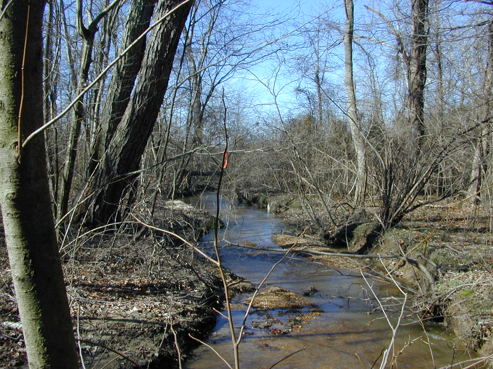 Field photo showing stream conditions at site PRLT-104-R-2004-1