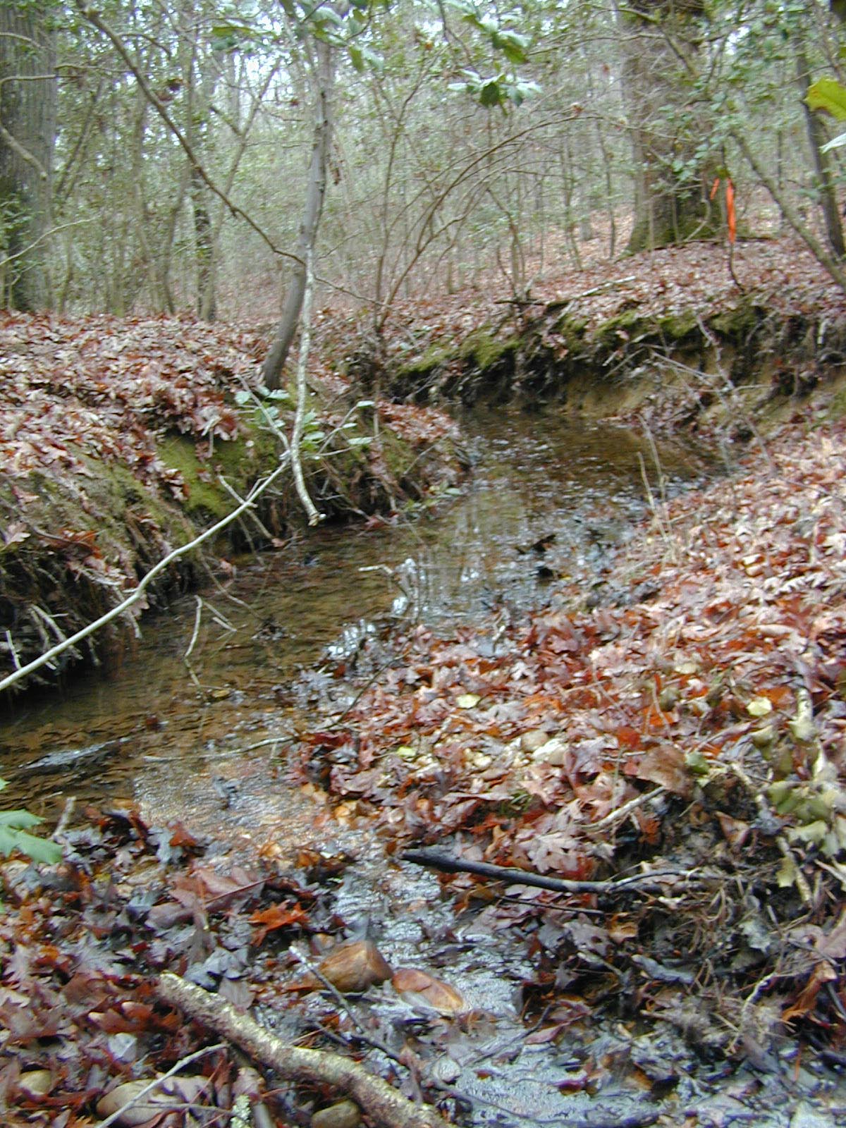Field photo showing stream conditions at site PRLT-105-R-2002-429