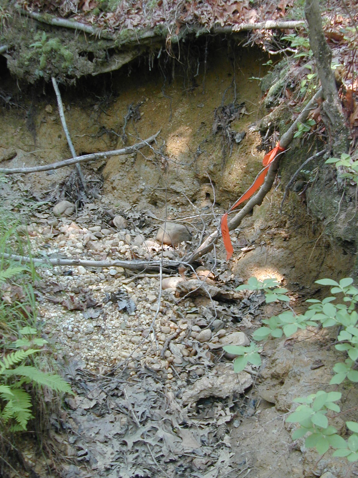 Field photo showing stream conditions at site PRLT-105-R-2002-565