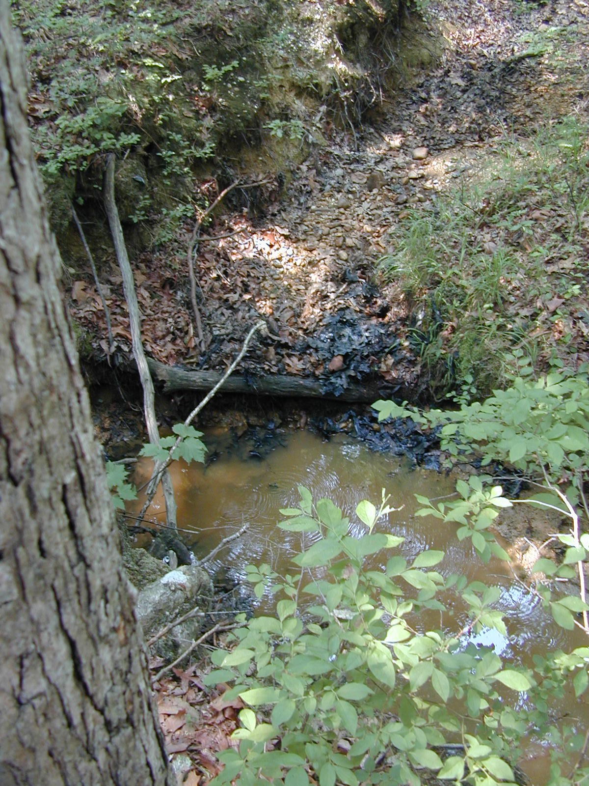 Field photo showing stream conditions at site PRLT-105-R-2002-566