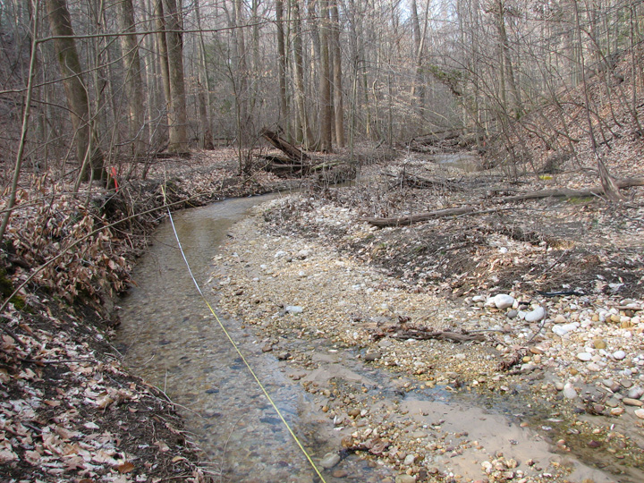 Field photo showing stream conditions at site PRLT-105-R-2007-1