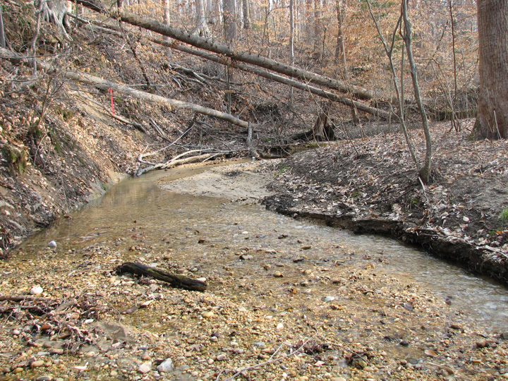 Field photo showing stream conditions at site PRLT-105-R-2007-2