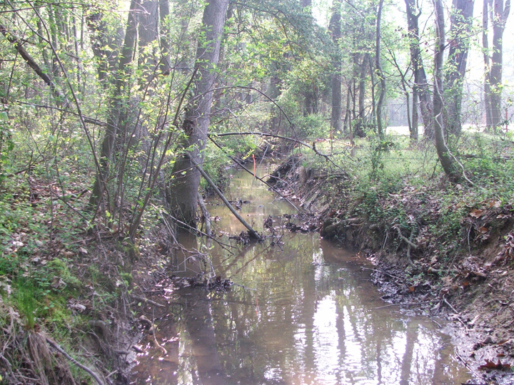 Field photo showing stream conditions at site PRLT-107-B-2008-1