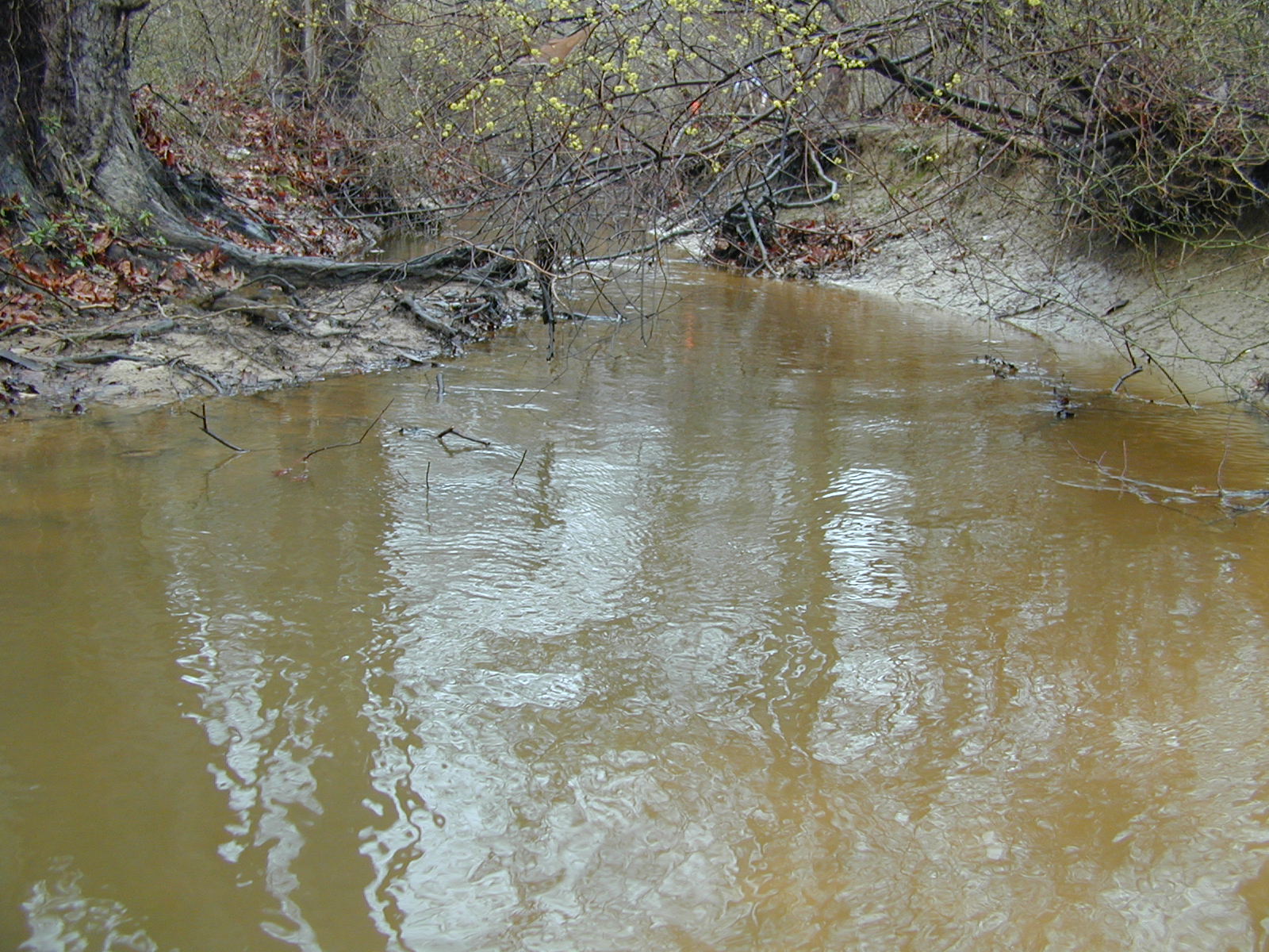 Field photo showing stream conditions at site PRLT-108-R-2002-421