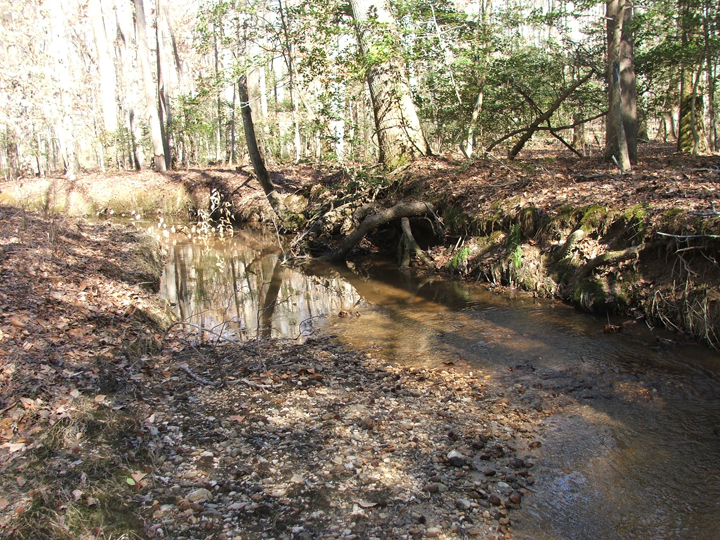 Field photo showing stream conditions at site PRLT-112-B-2008-1