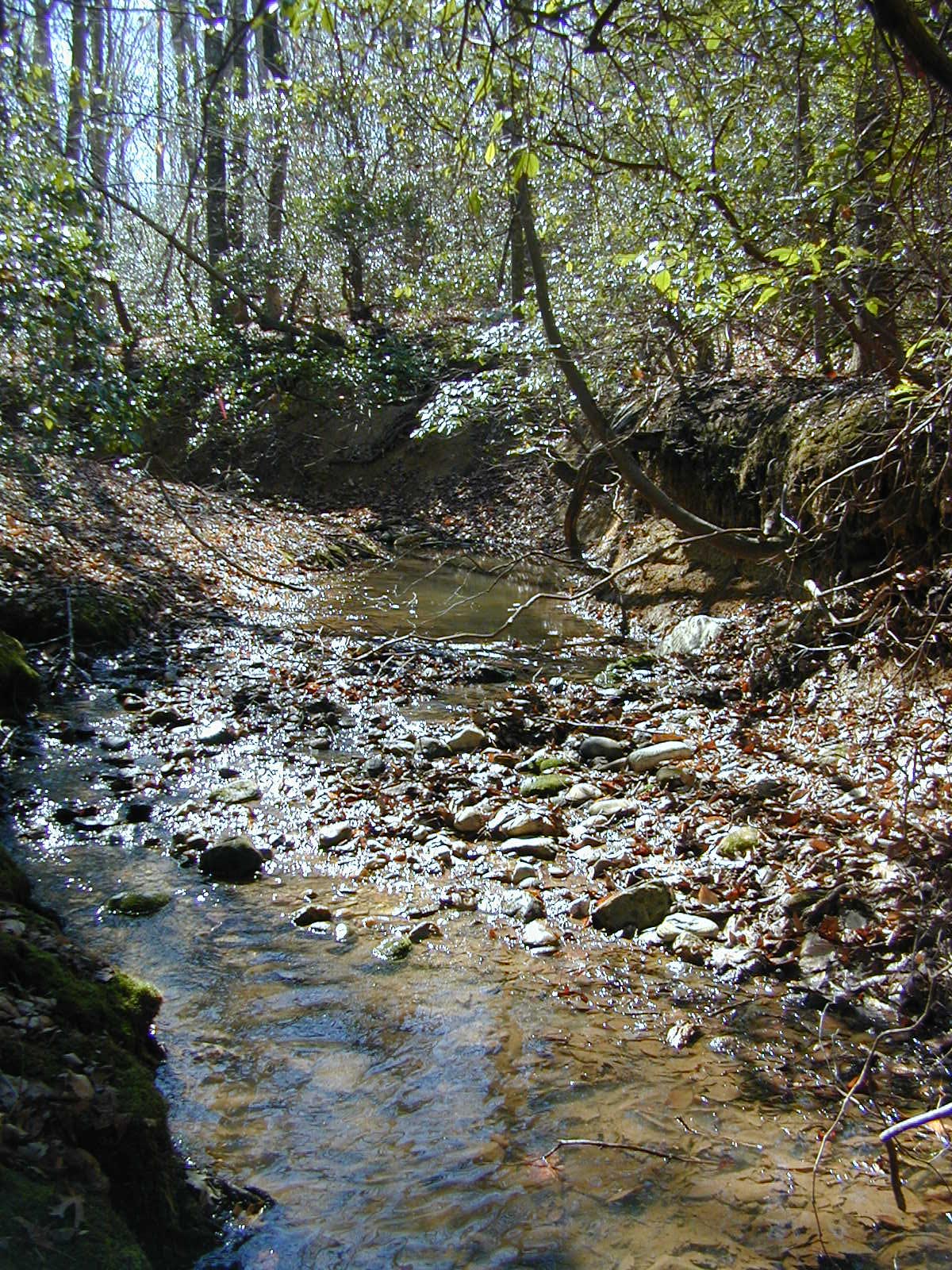 Field photo showing stream conditions at site PRLT-113-R-2002-376
