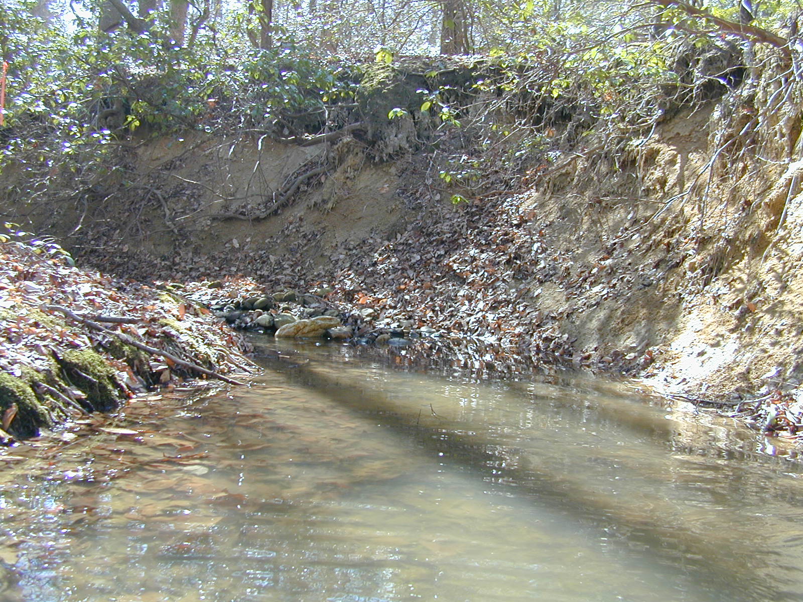 Field photo showing stream conditions at site PRLT-113-R-2002-377