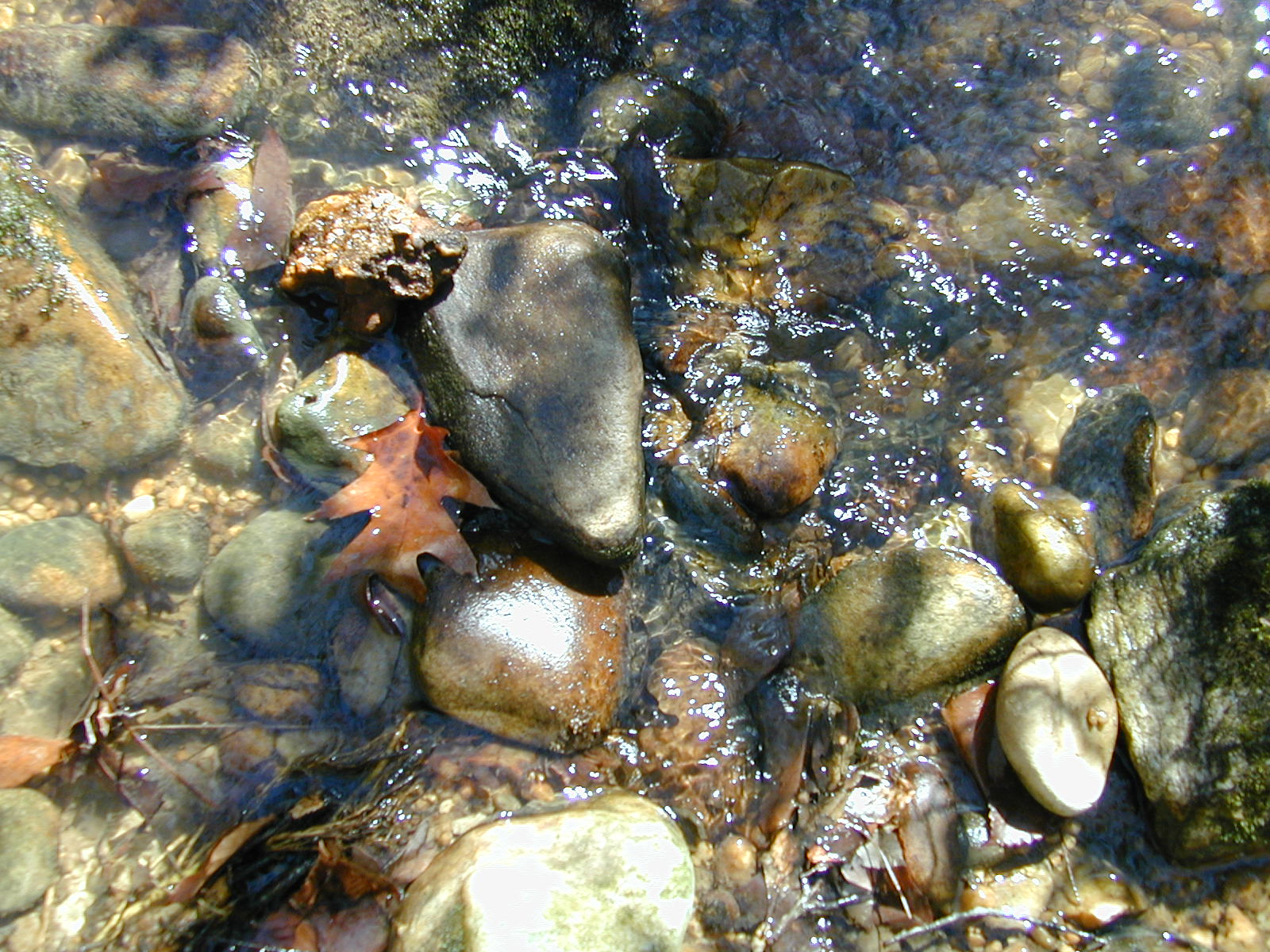 Field photo showing stream conditions at site PRLT-113-R-2002-378