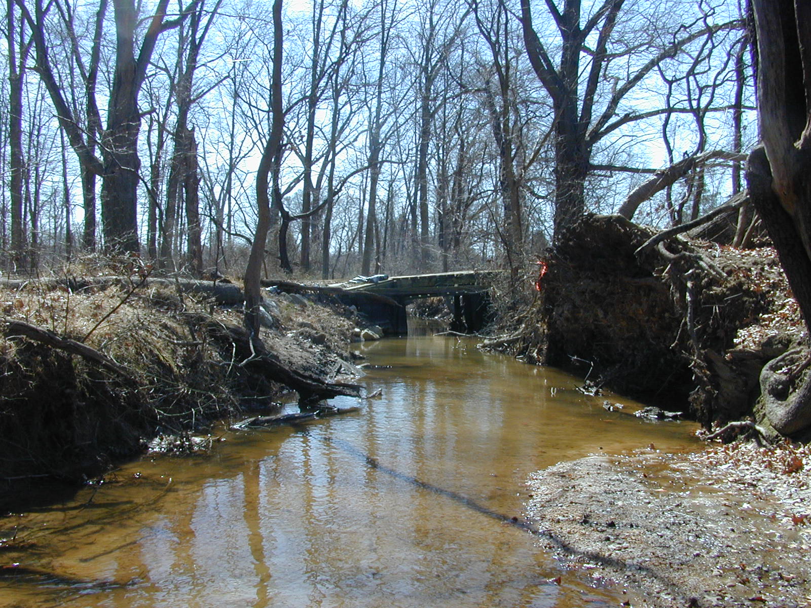 Field photo showing stream conditions at site PRLT-114-R-2004-1