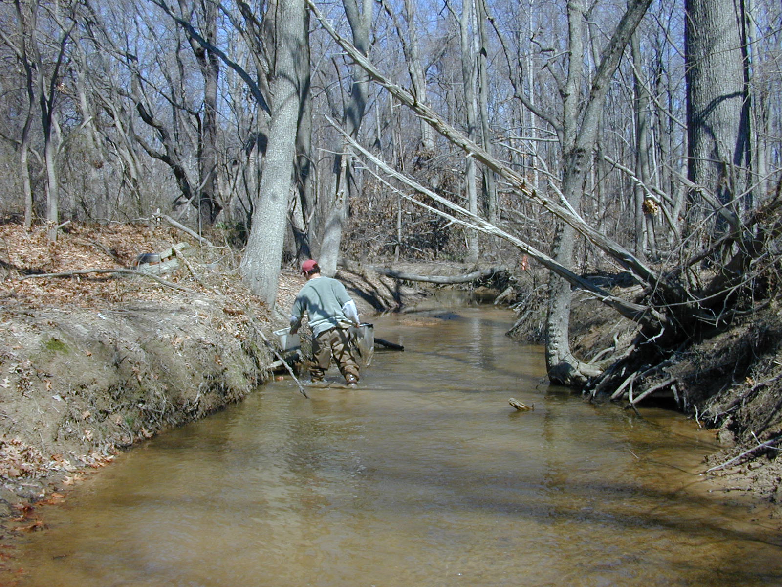 Field photo showing stream conditions at site PRLT-114-R-2004-2