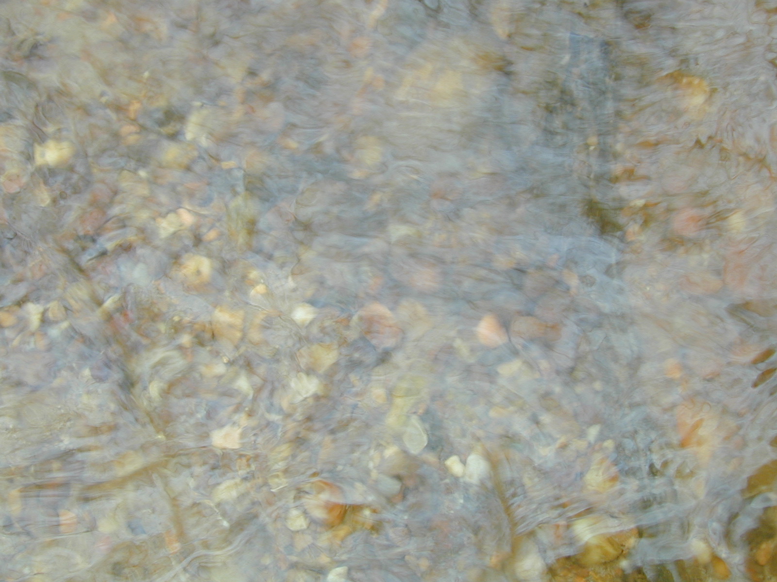 Field photo showing stream conditions at site PRLT-116-R-2002-425