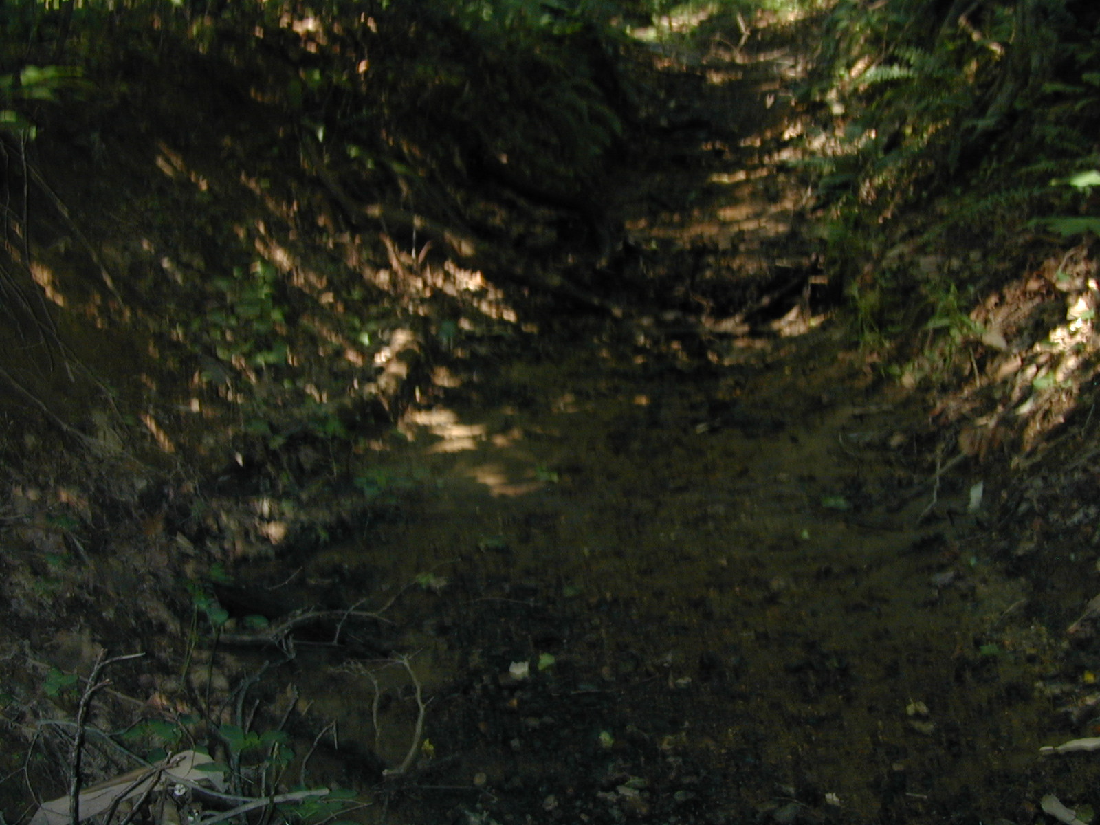 Field photo showing stream conditions at site PRLT-116-R-2002-578