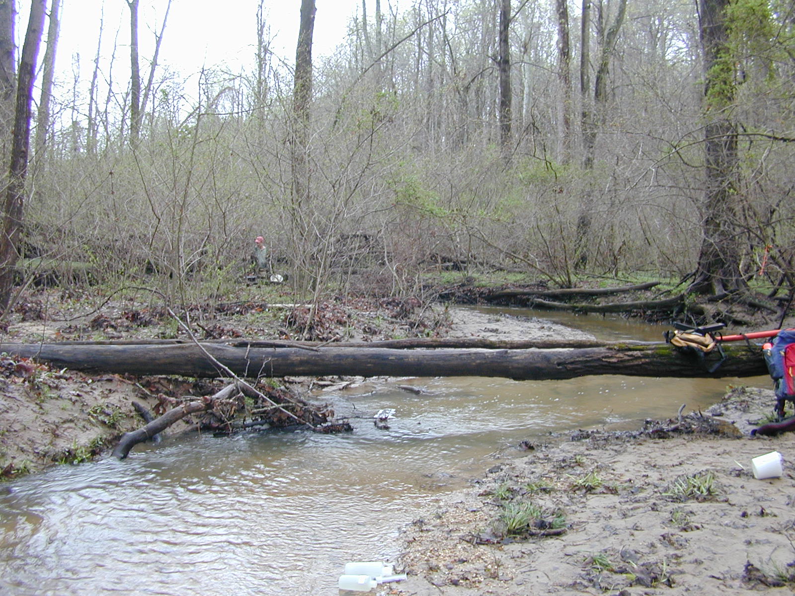 Field photo showing stream conditions at site PRLT-202-R-2004-2