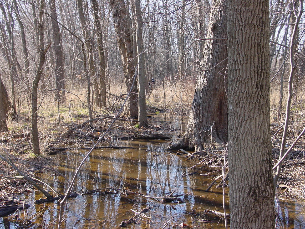 Field photo showing stream conditions at site PRMO-101-R-2002-1