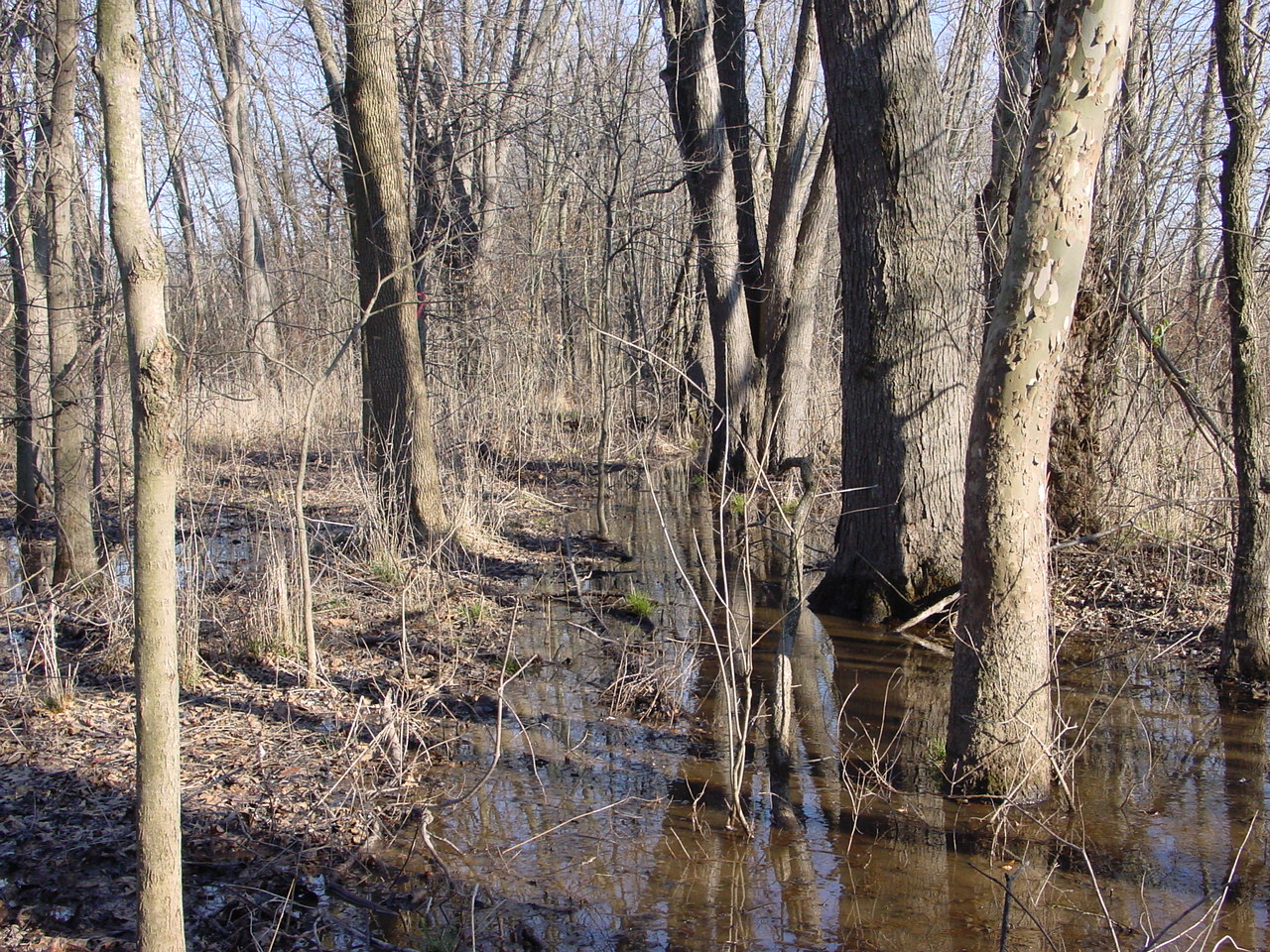 Field photo showing stream conditions at site PRMO-101-R-2002-2