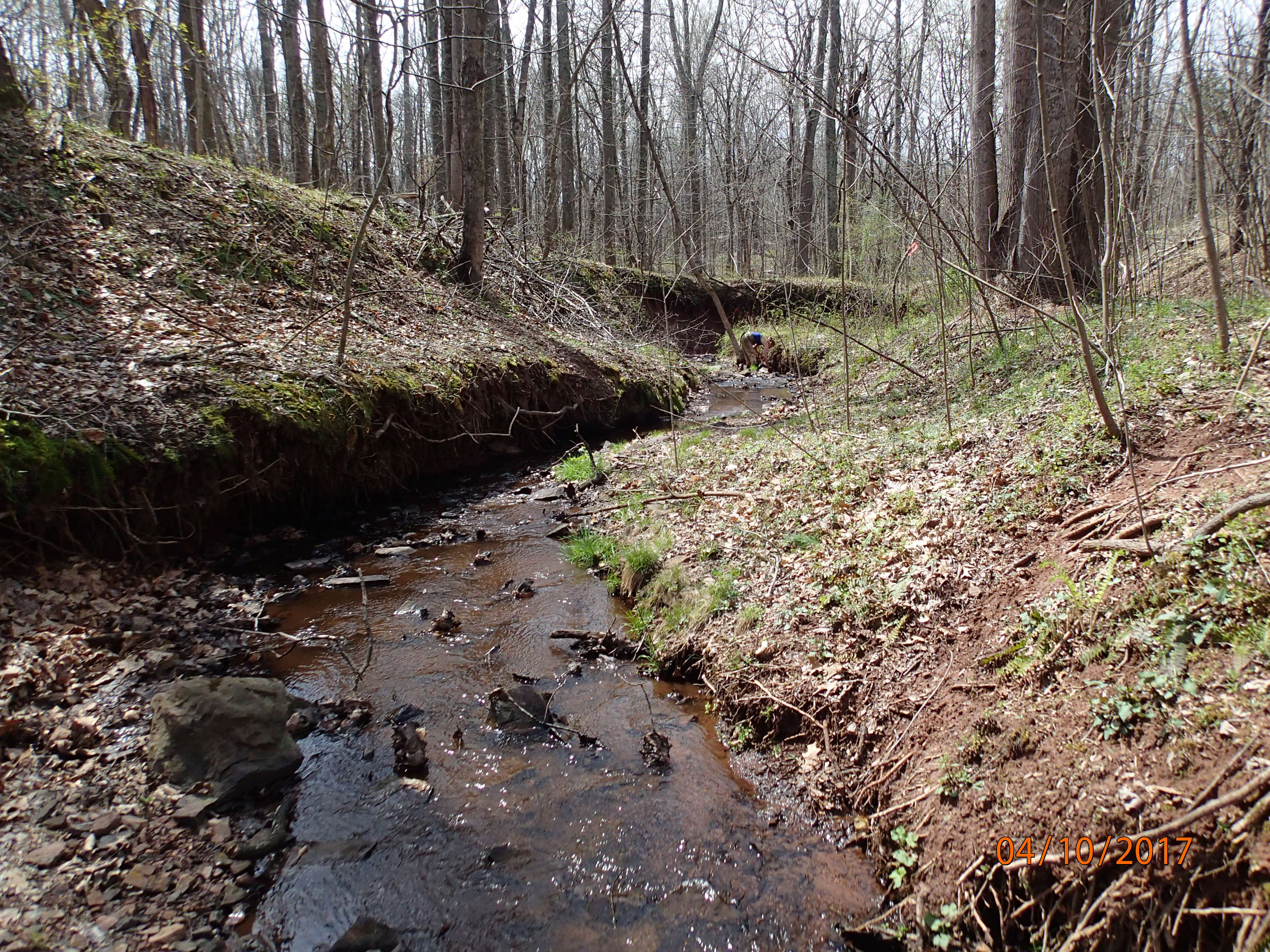 Field photo showing stream conditions at site PRMO-101-R-2017-MidpointDownstream
