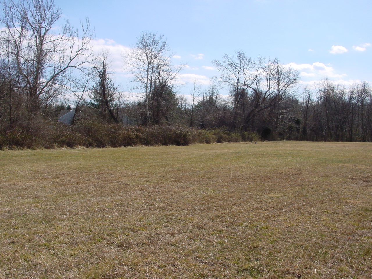 Field photo showing stream conditions at site PRMO-103-R-2002-2