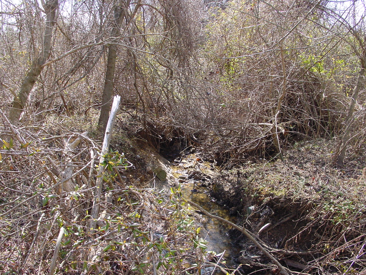 Field photo showing stream conditions at site PRMO-103-R-2002-3
