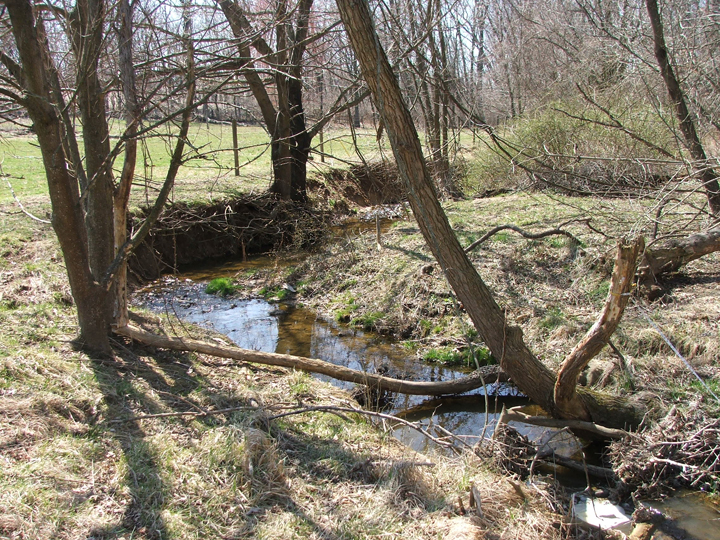 Field photo showing stream conditions at site PRMO-108-R-2008-1