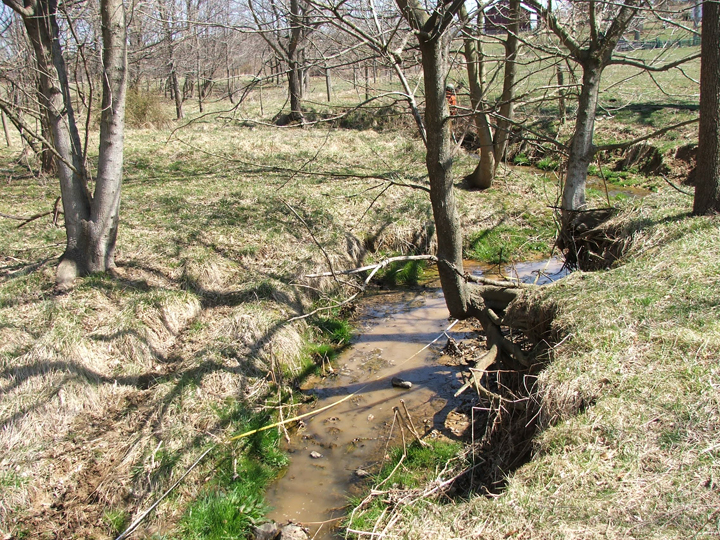 Field photo showing stream conditions at site PRMO-108-R-2008-2