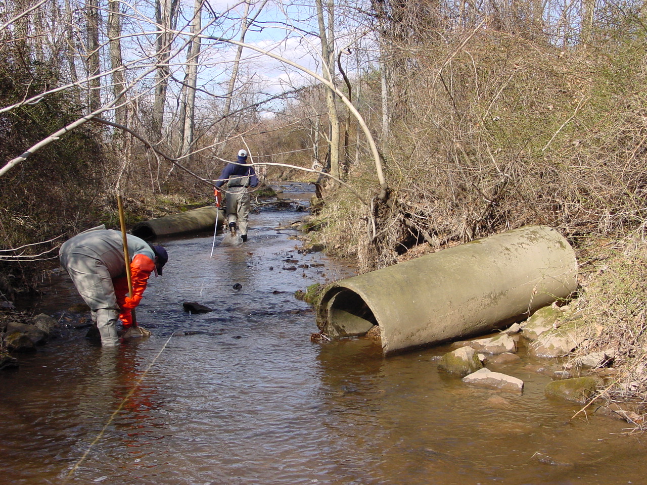 Field photo showing stream conditions at site PRMO-110-R-2002-1