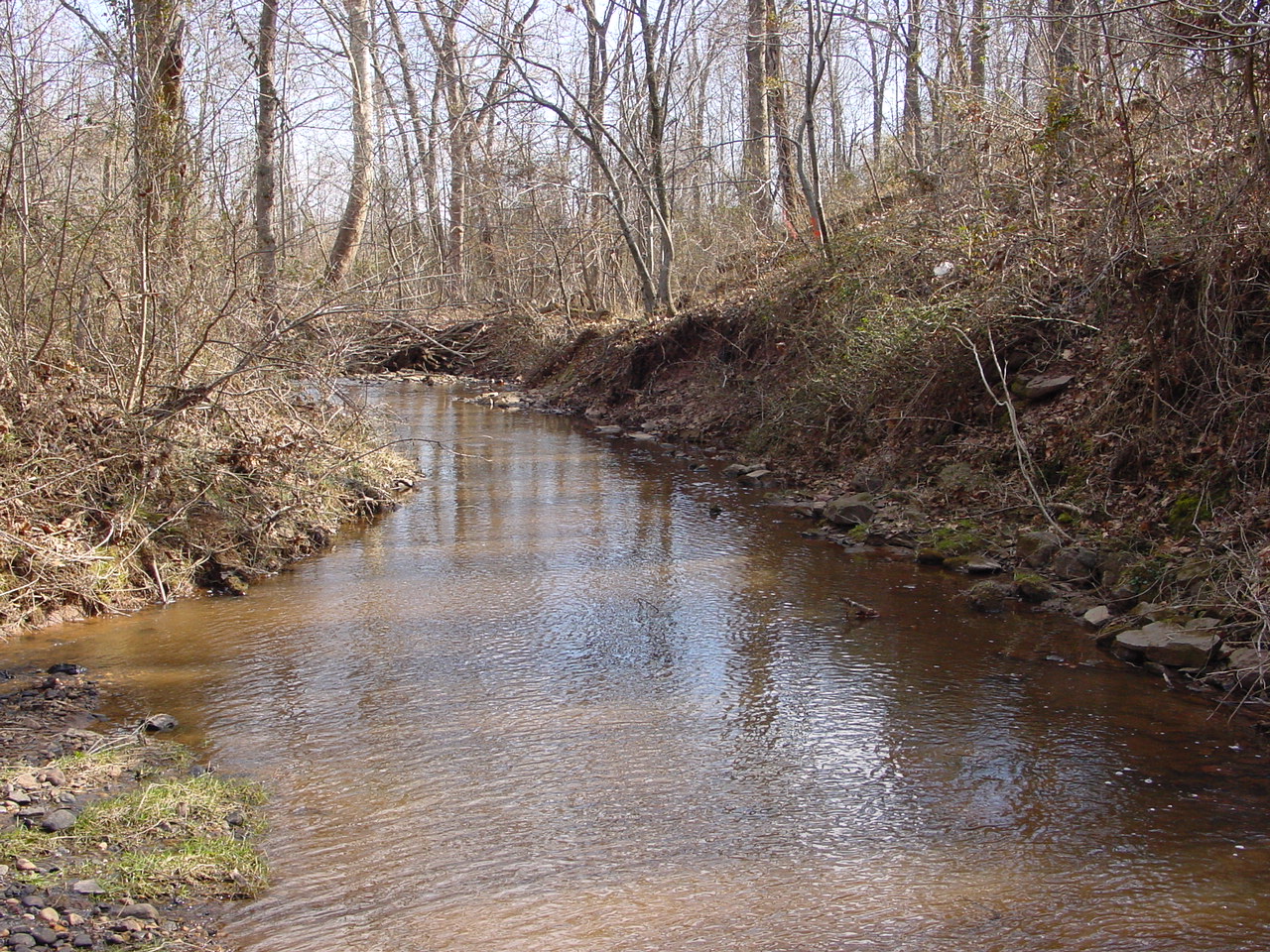Field photo showing stream conditions at site PRMO-110-R-2002-2