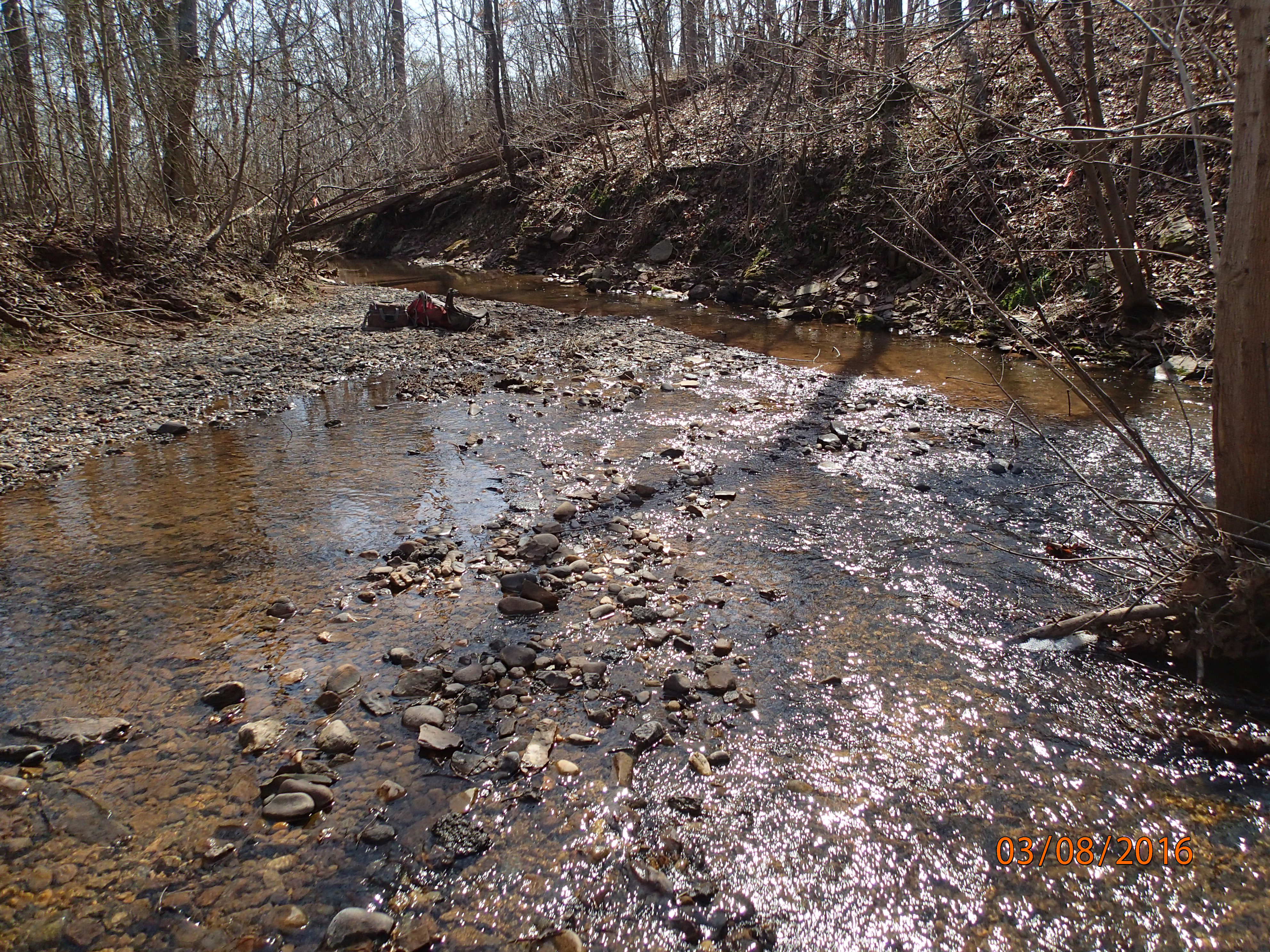 Field photo showing stream conditions at site PRMO-110-R-2016-MidpointDownstream