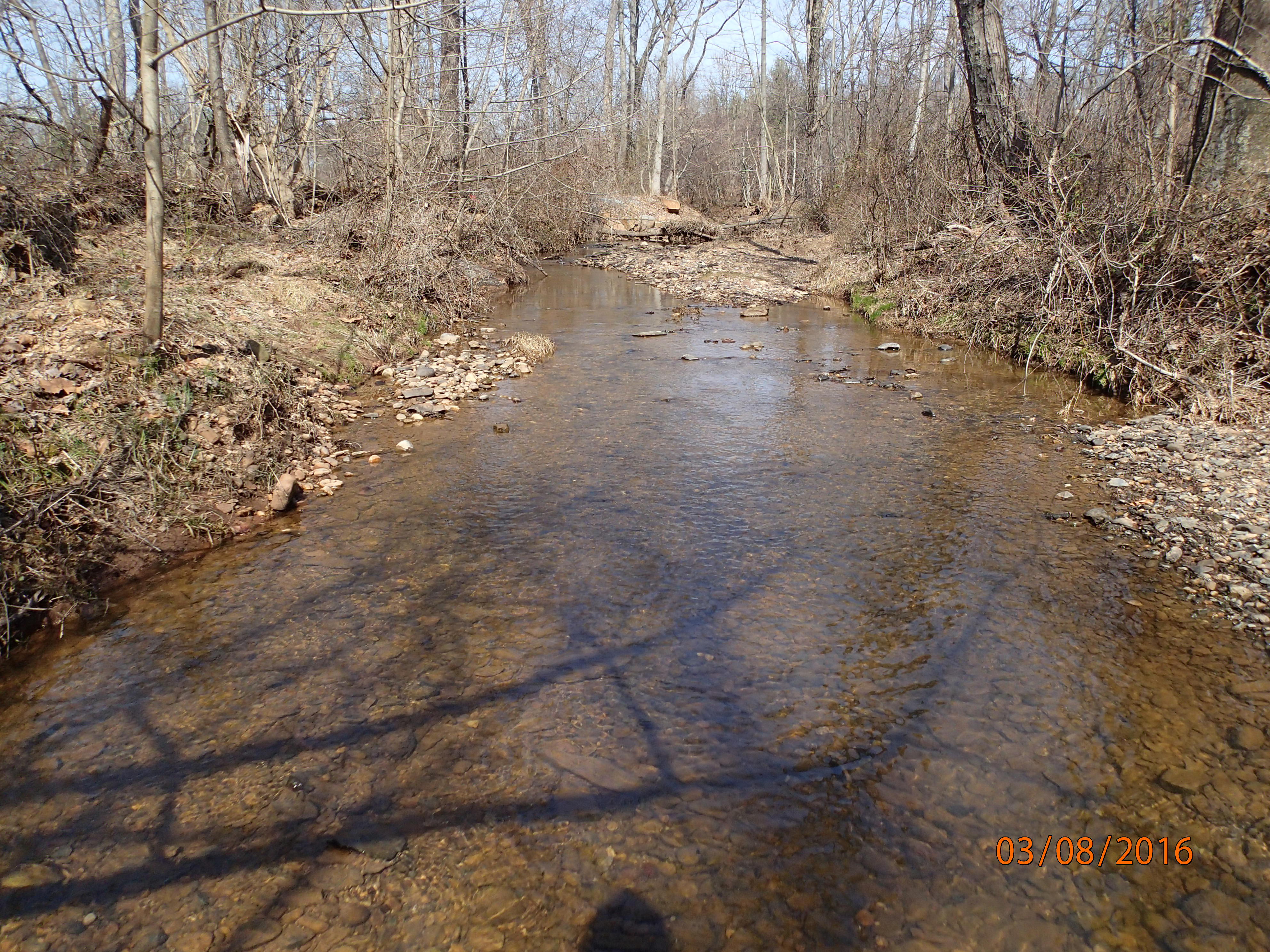 Field photo showing stream conditions at site PRMO-110-R-2016-MidpointUpstream