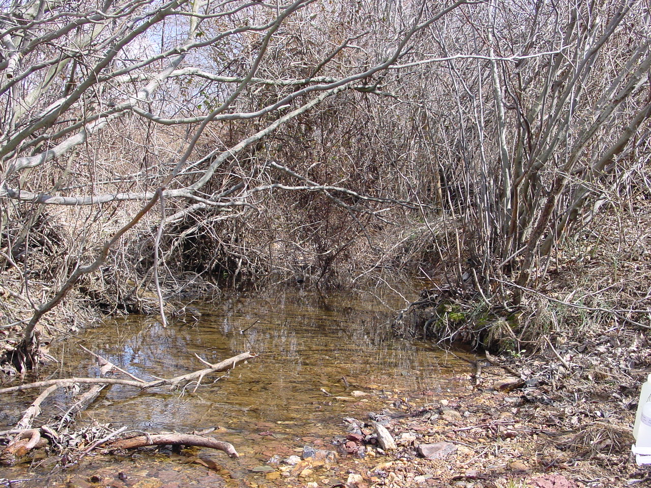 Field photo showing stream conditions at site PRMO-114-R-2002-1