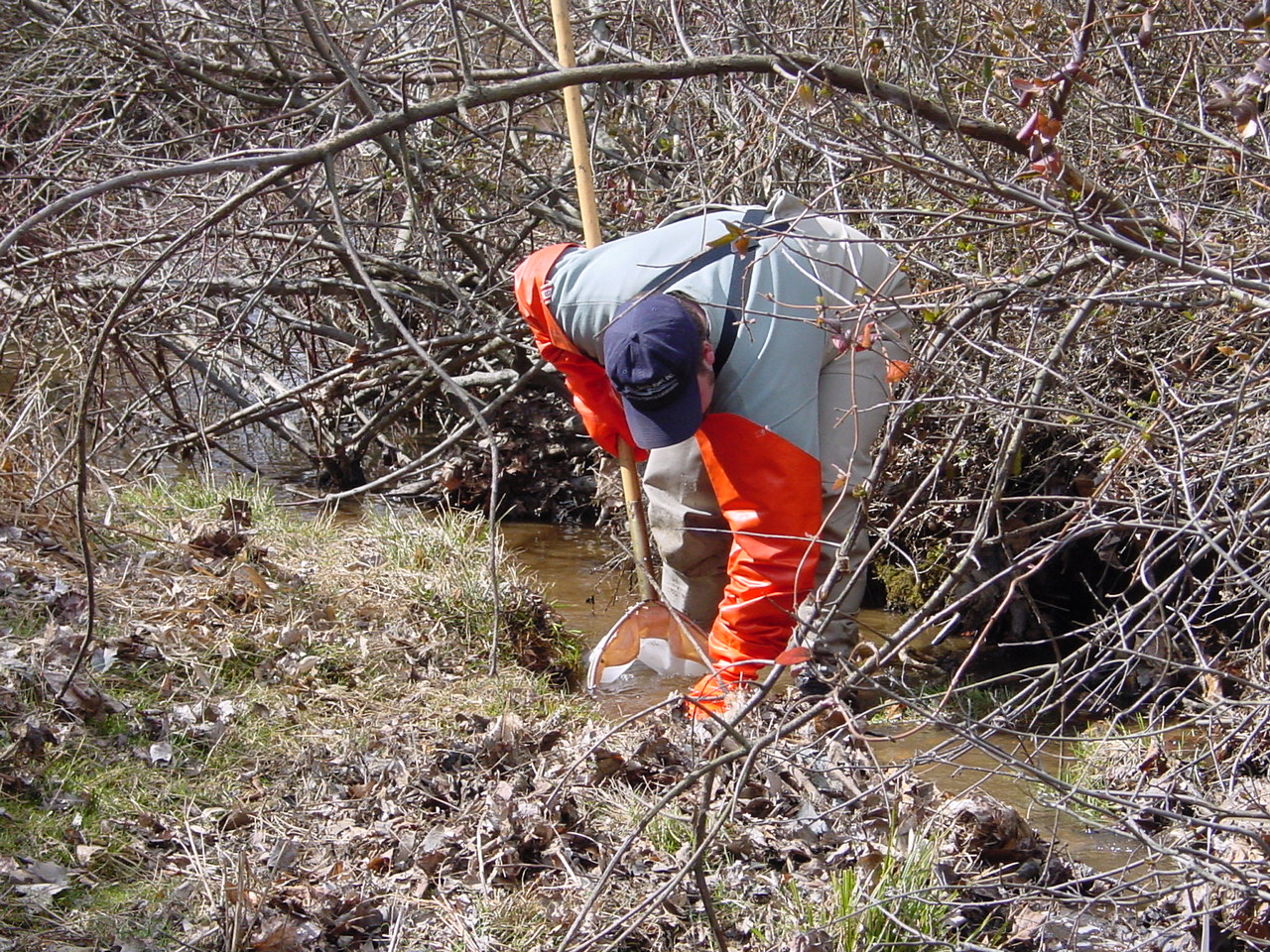 Field photo showing stream conditions at site PRMO-114-R-2002-2