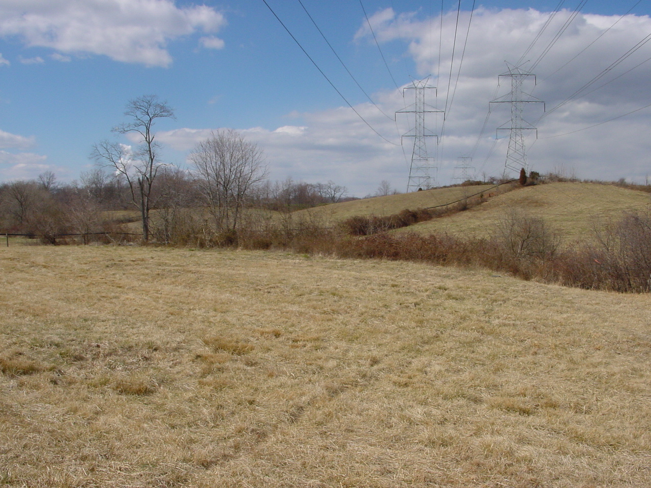 Field photo showing stream conditions at site PRMO-114-R-2002-3