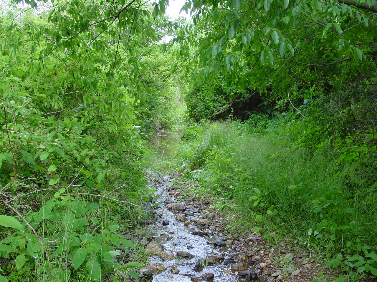 Field photo showing stream conditions at site PRMO-114-R-2002-4