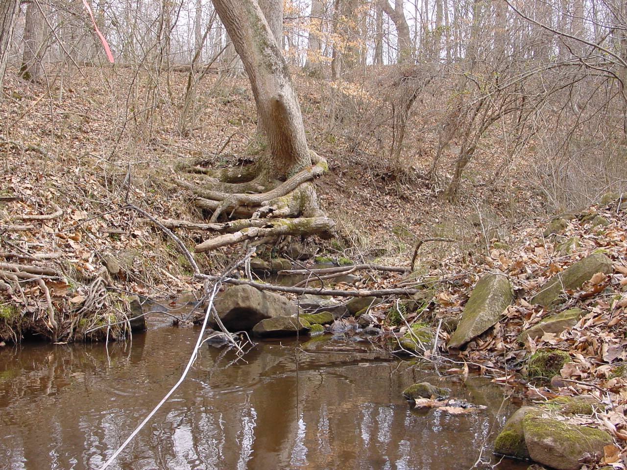 Field photo showing stream conditions at site PRMO-120-R-2002-1