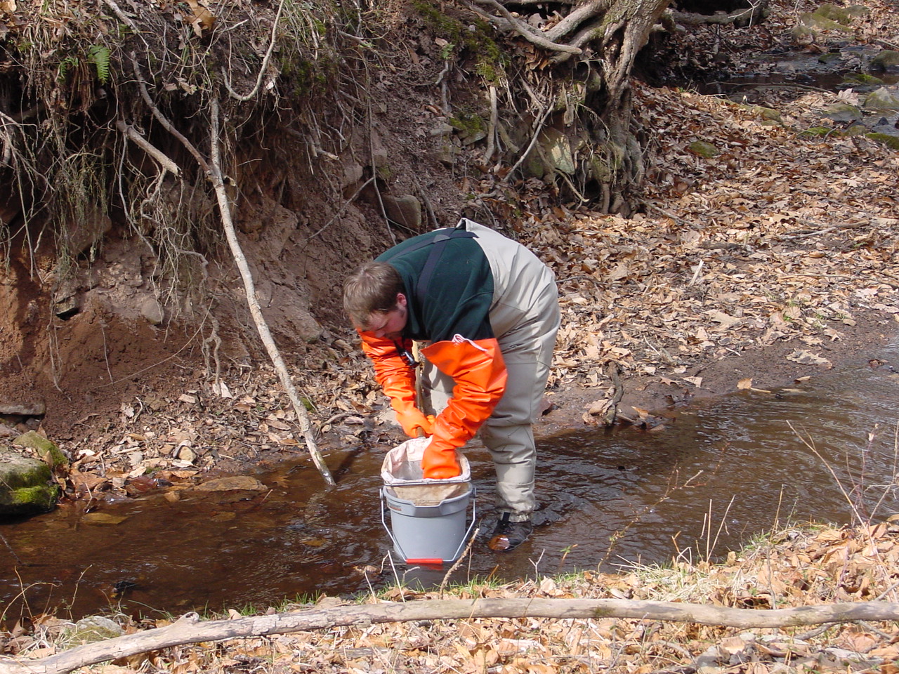 Field photo showing stream conditions at site PRMO-120-R-2002-3