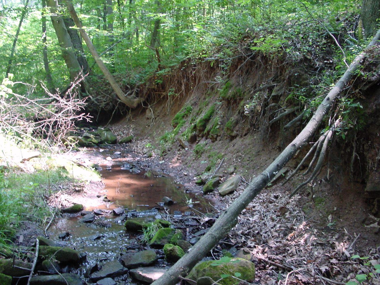 Field photo showing stream conditions at site PRMO-120-R-2002-4