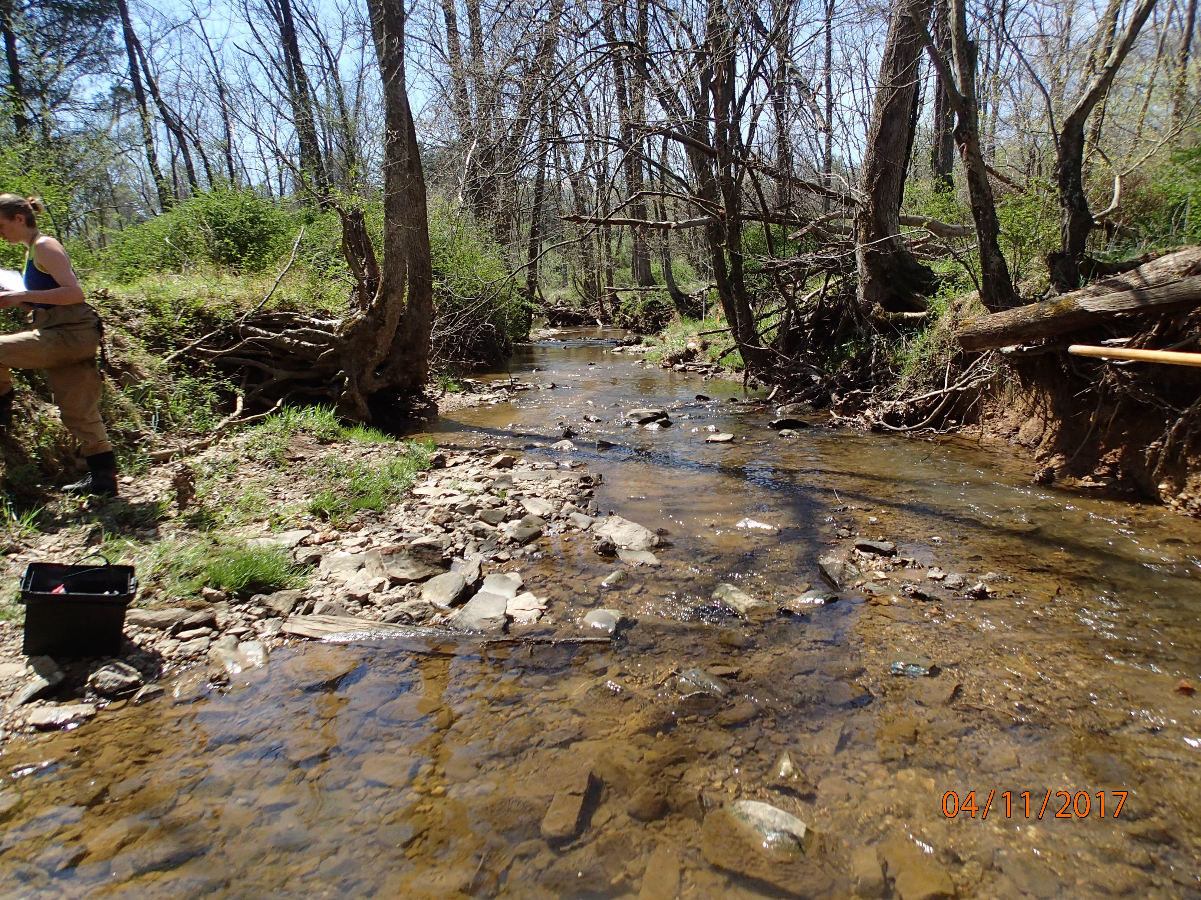 Field photo showing stream conditions at site PRMO-201-X-2017-MidpointDownstream