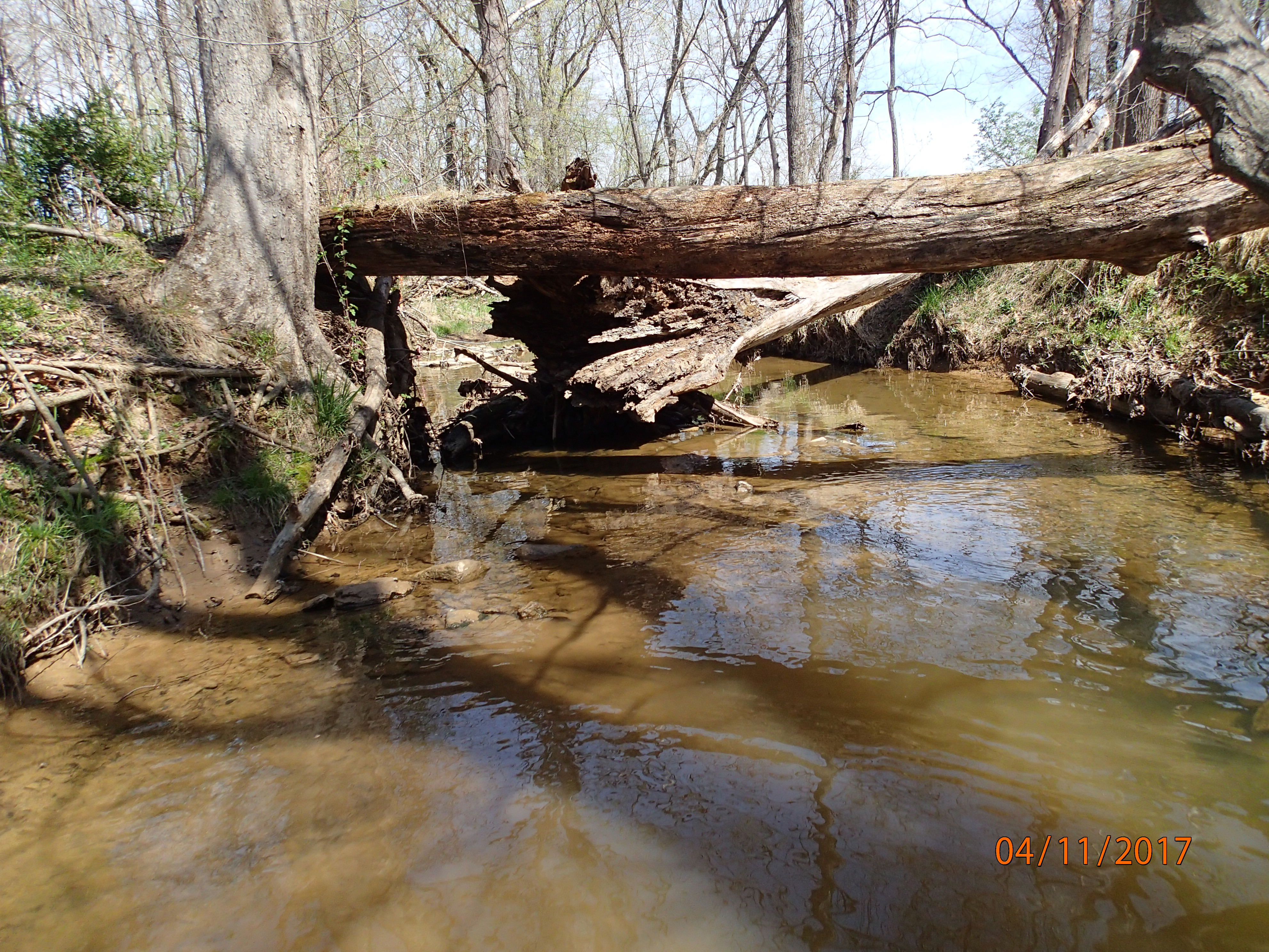 Field photo showing stream conditions at site PRMO-201-X-2017-MidpointUpstream