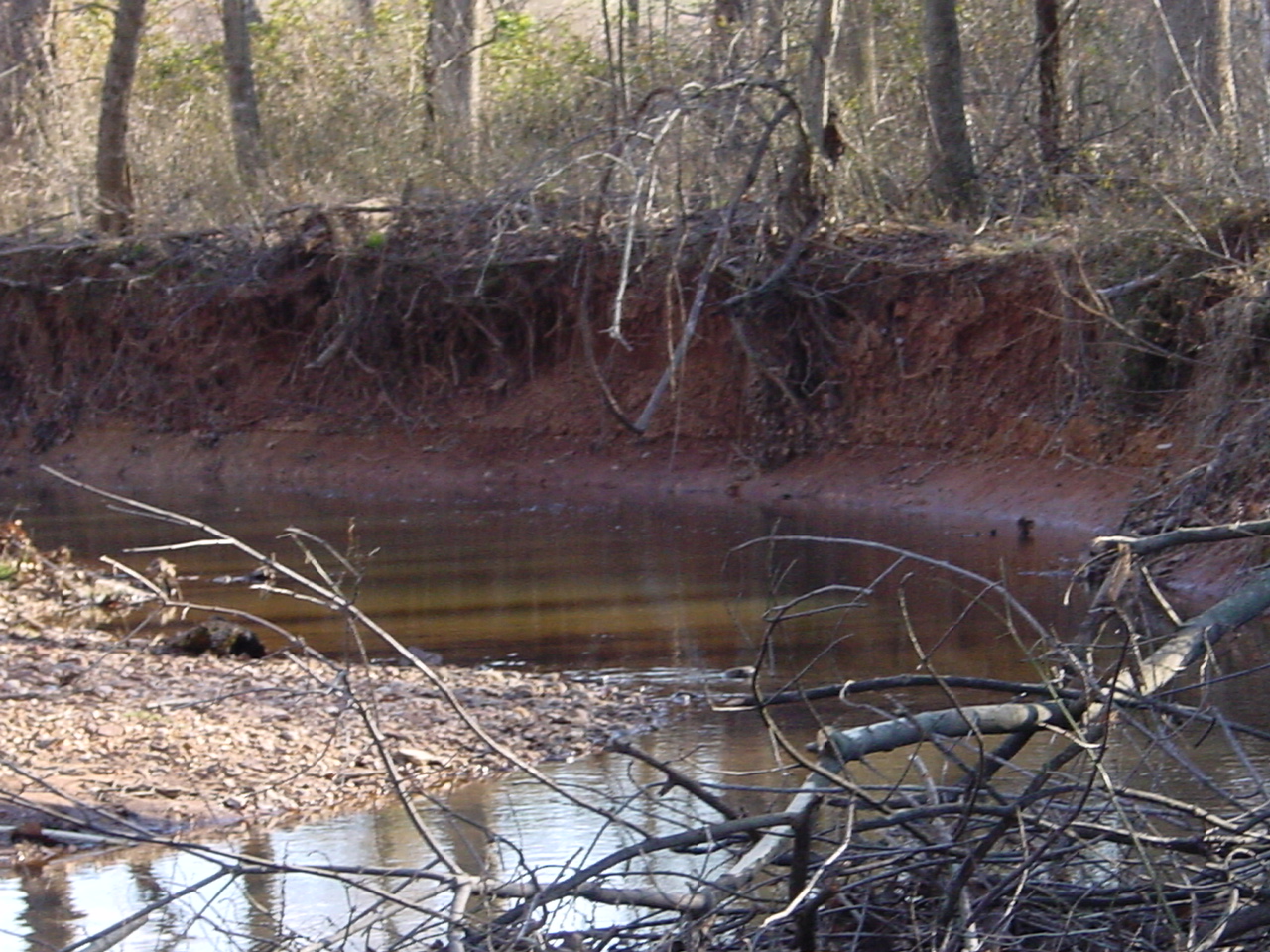 Field photo showing stream conditions at site PRMO-202-R-2002-1