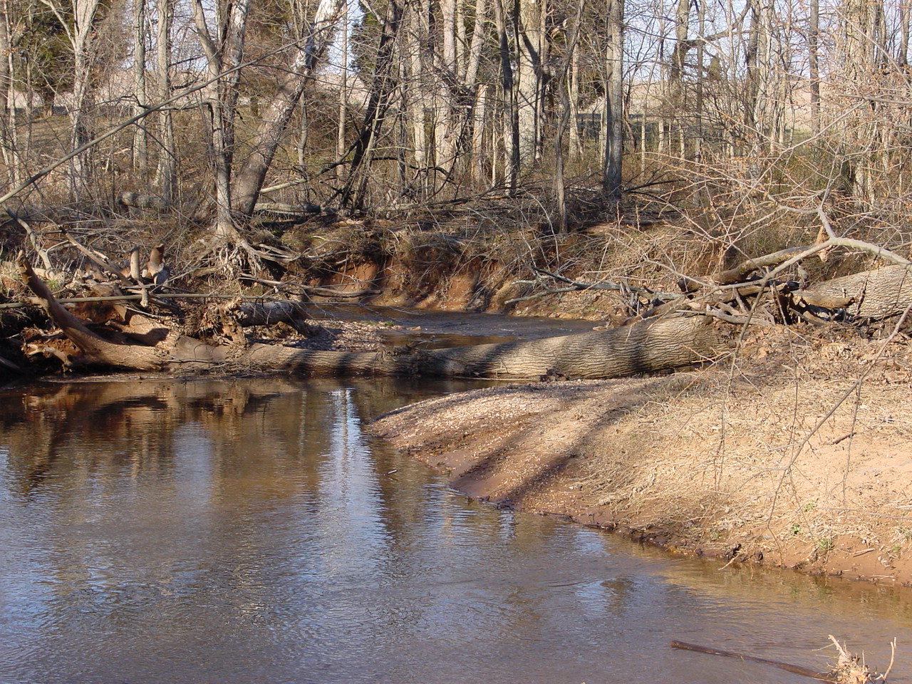 Field photo showing stream conditions at site PRMO-202-R-2002-2