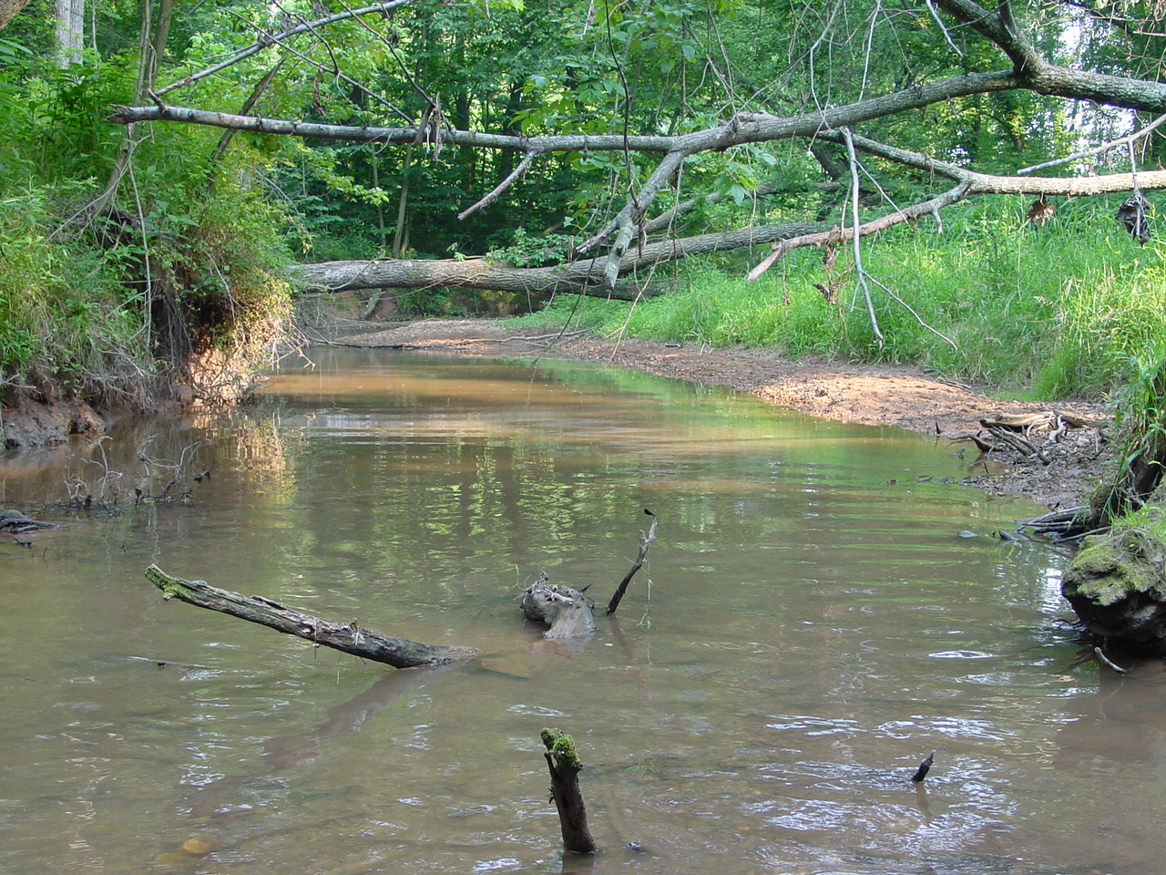 Field photo showing stream conditions at site PRMO-202-R-2002-3