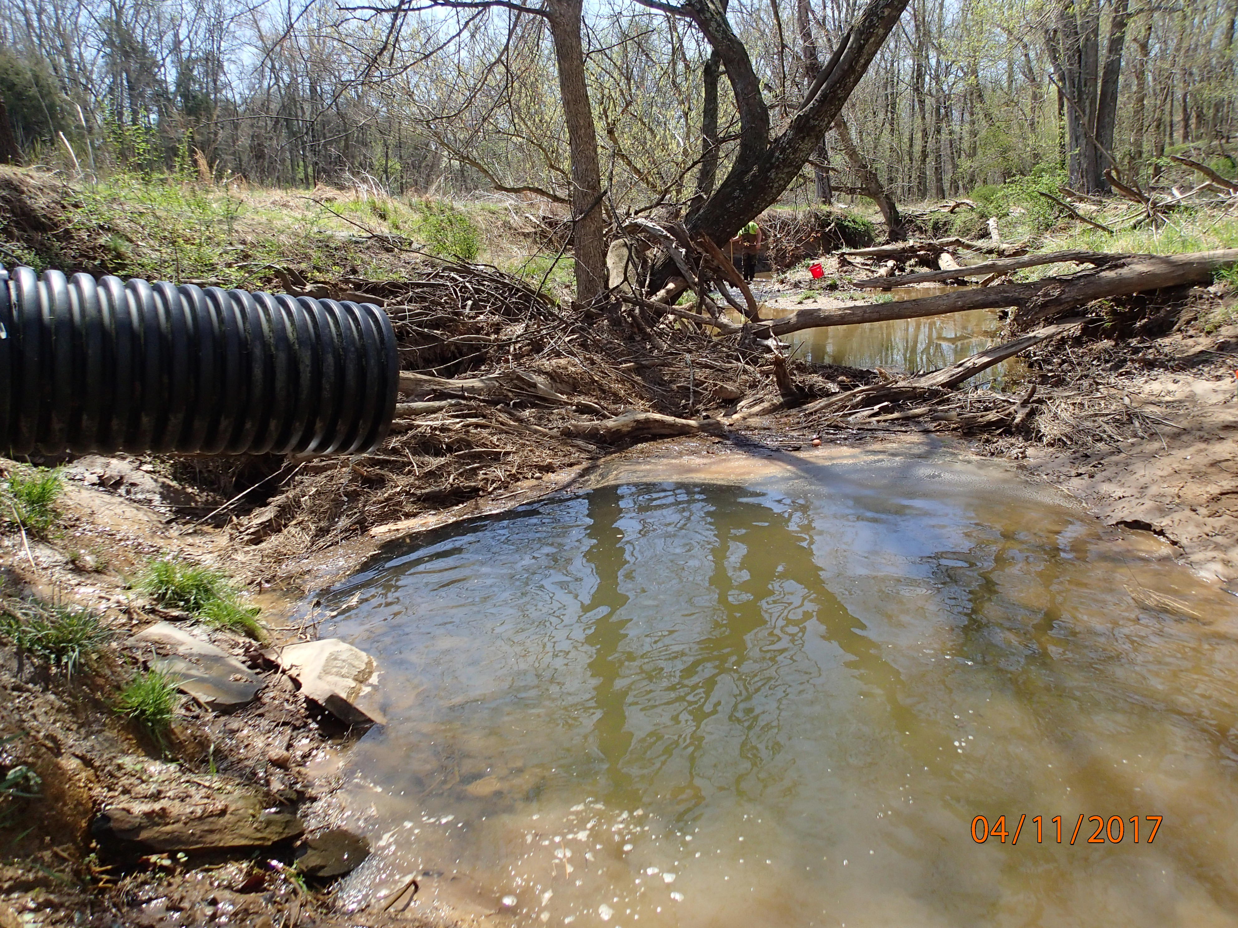 Field photo showing stream conditions at site PRMO-202-X-2017-MidpointDownstream