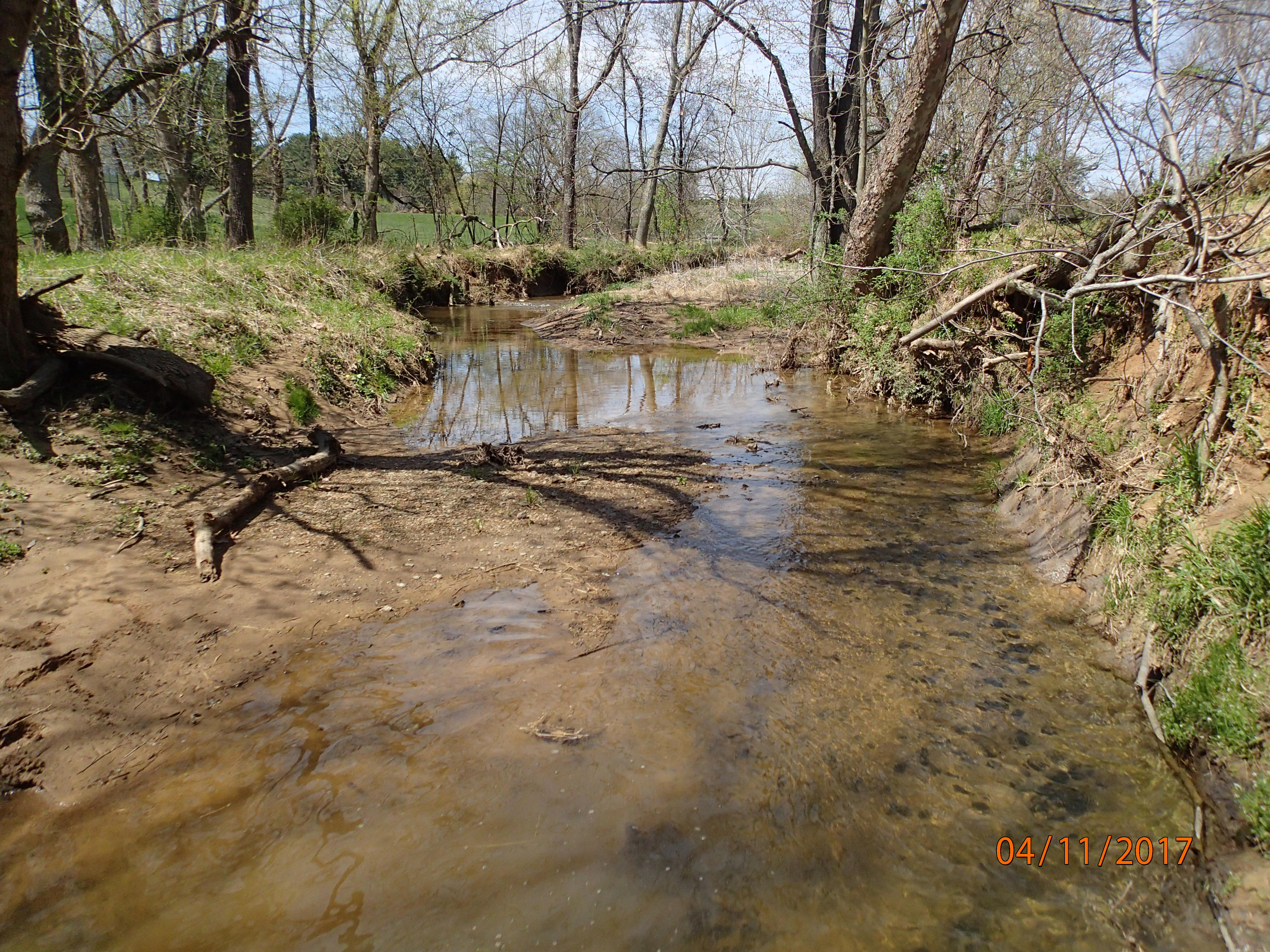Field photo showing stream conditions at site PRMO-202-X-2017-MidpointUpstream