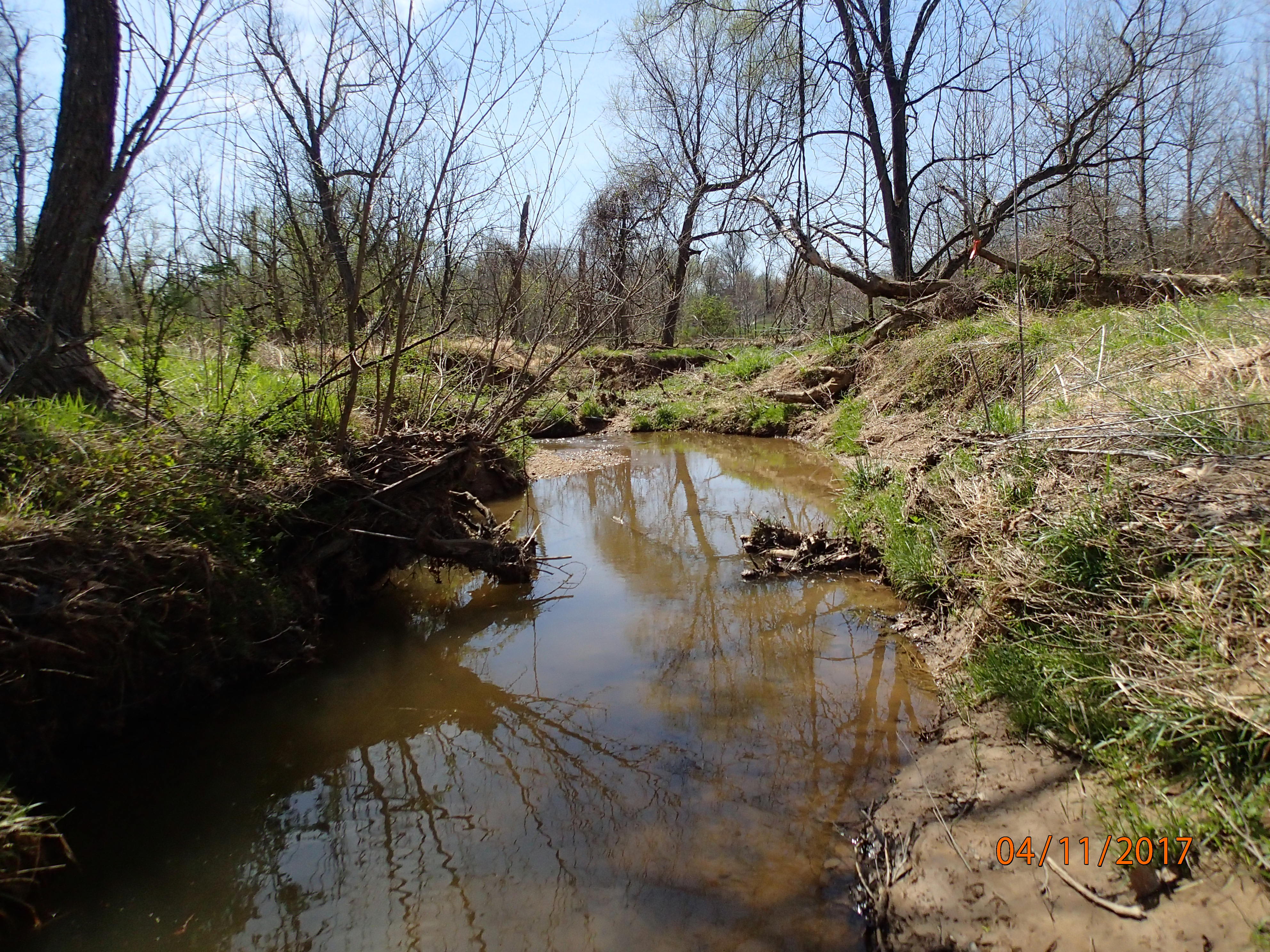 Field photo showing stream conditions at site PRMO-203-X-2017-MidpointDownstream