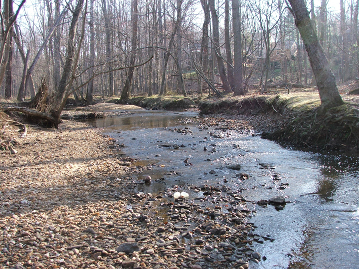 Field photo showing stream conditions at site PRMO-204-R-2008-2