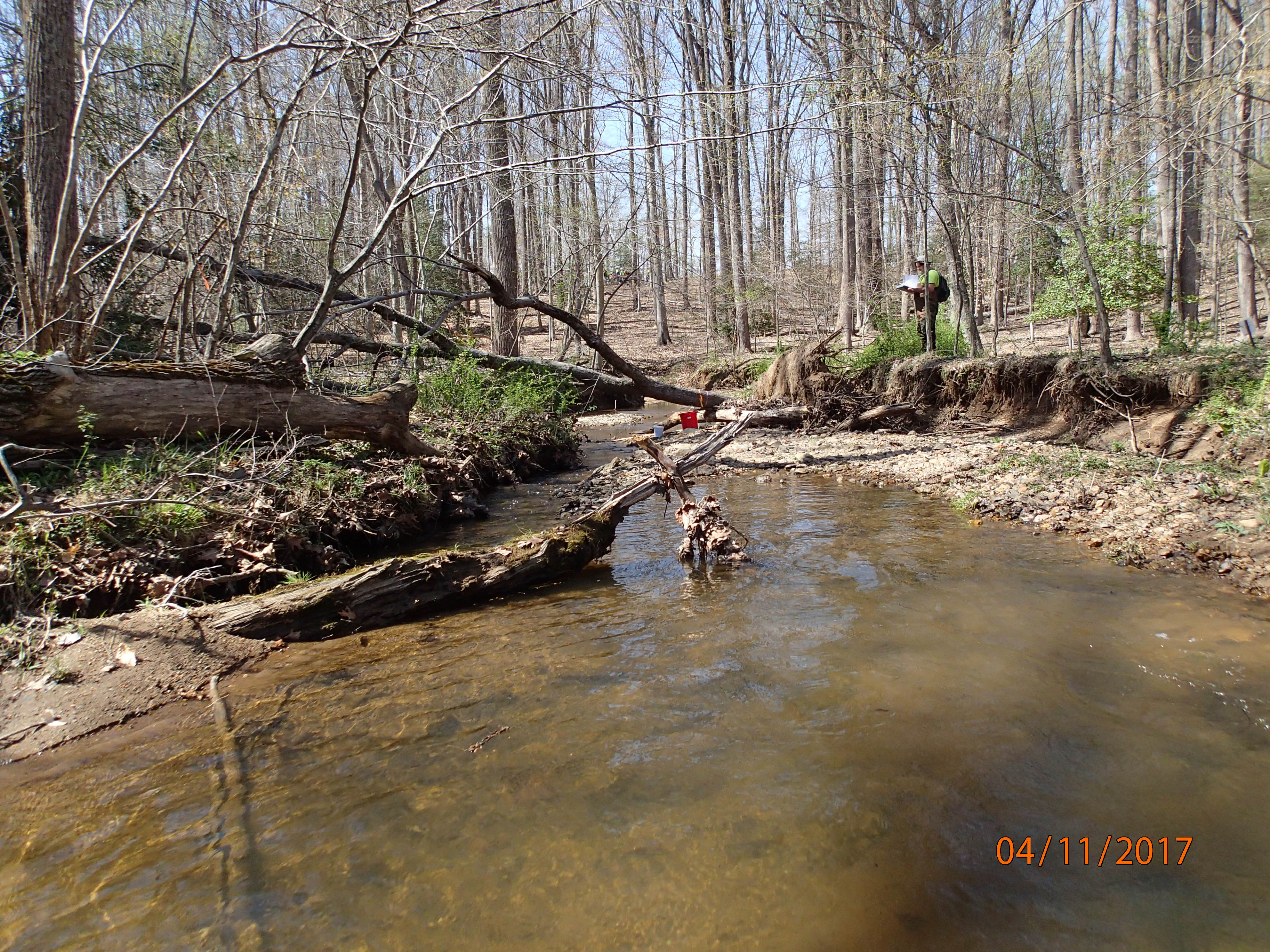 Field photo showing stream conditions at site PRMO-205-X-2017-MidpointDownstream