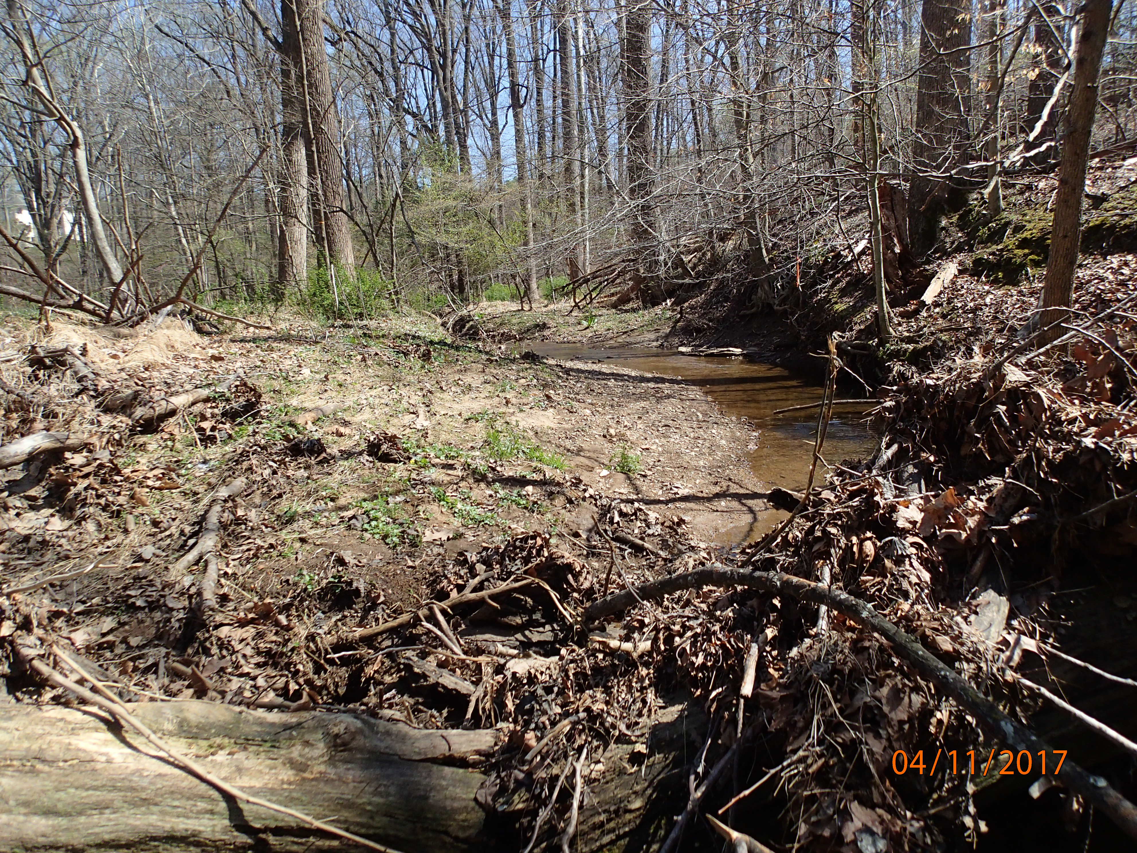 Field photo showing stream conditions at site PRMO-205-X-2017-MidpointUpstream