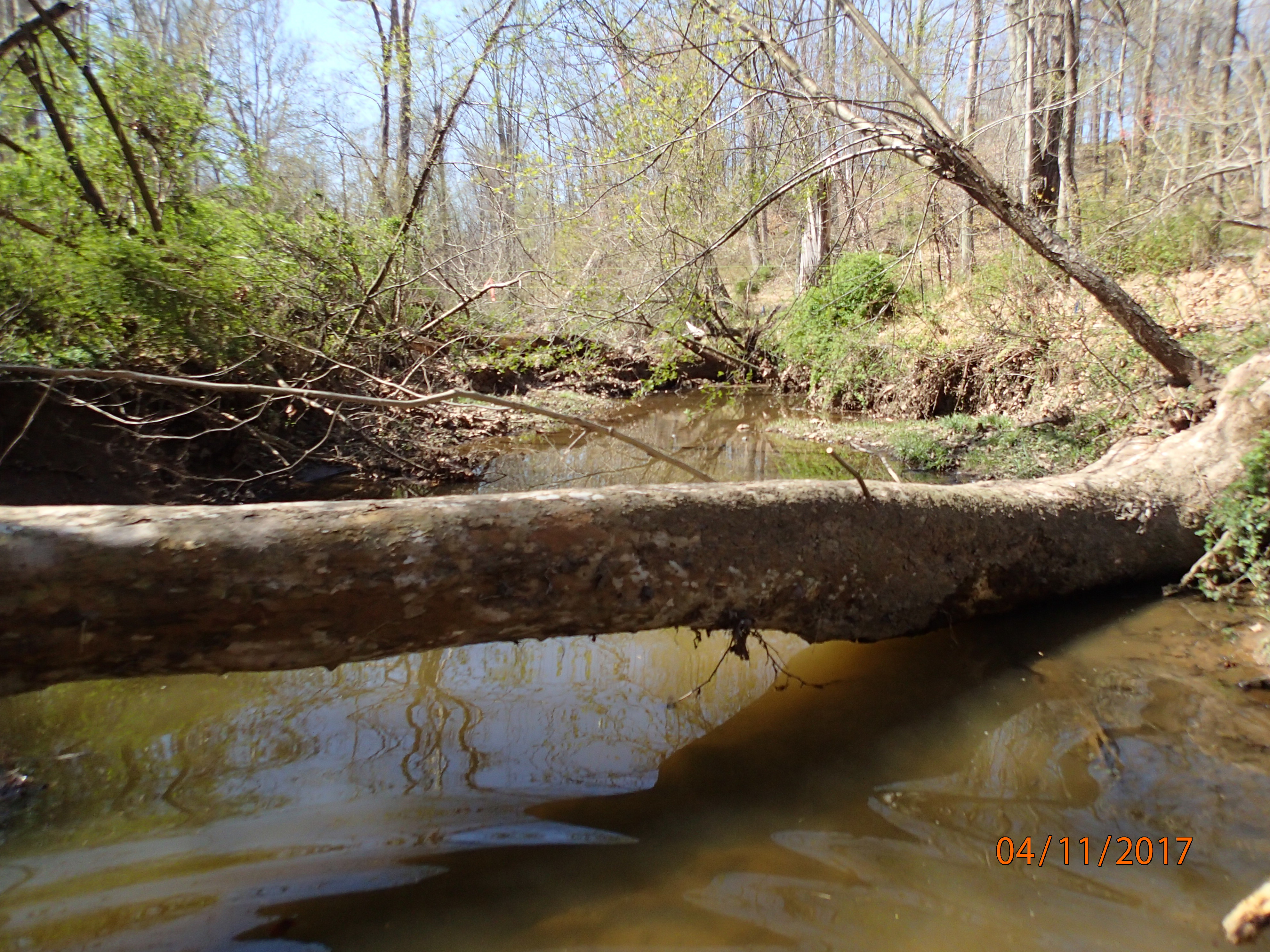 Field photo showing stream conditions at site PRMO-206-X-2017-MidpointDownstream